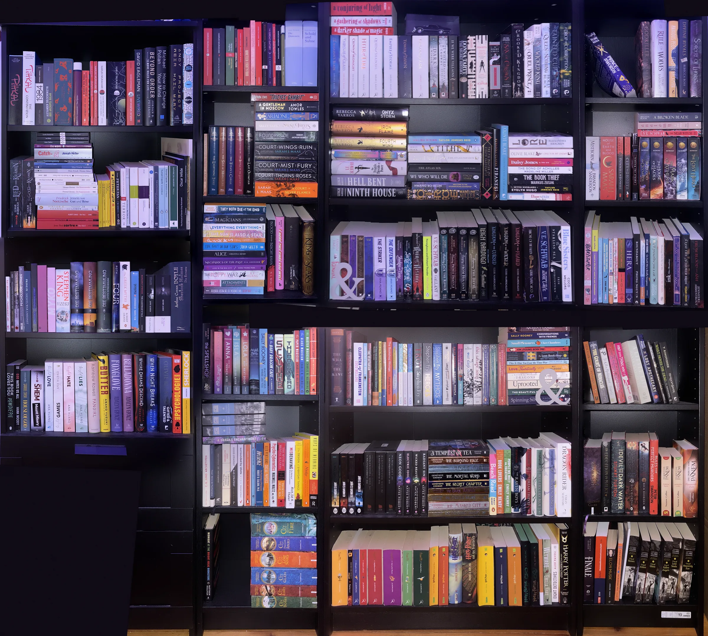 Panorama des Bücherregals